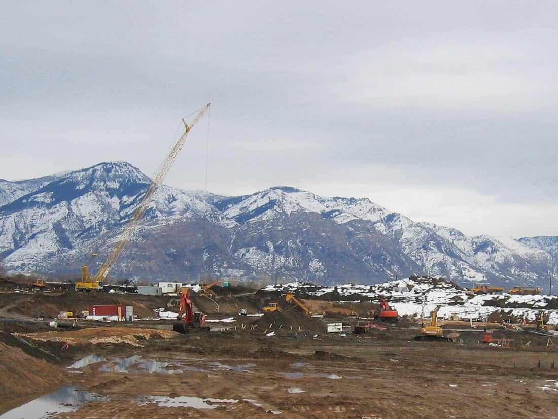 Yellow Crane Backed by Mountains